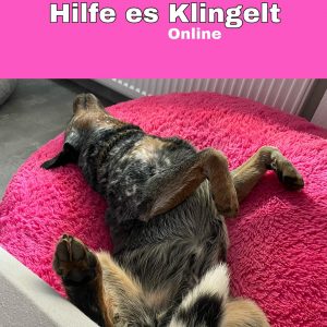 Hilfe es klingelt 10.02.22 20.30Uhr