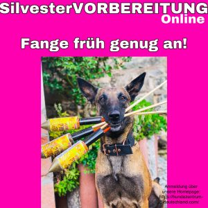 Silvestervorbereitung 2025