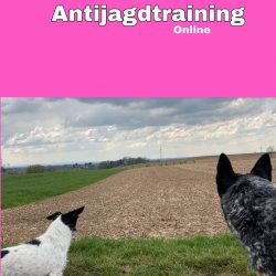 Antijagdtraining-online