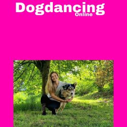 dogdance
